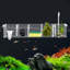 Divergent Rectangle Aquarium Tank