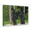 No Frame Print on Canvas-1493495727