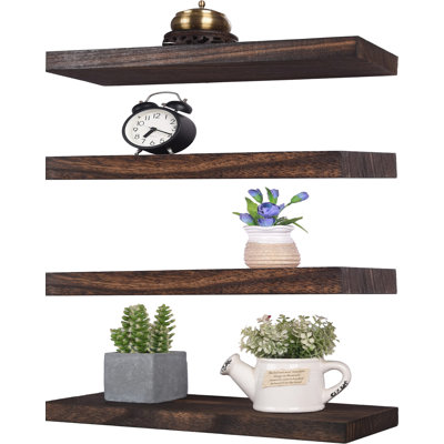 Fein 4 Piece Floating Shelf