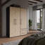 Mijah 3 Door Manufactured Wood Wardrobe-885656498
