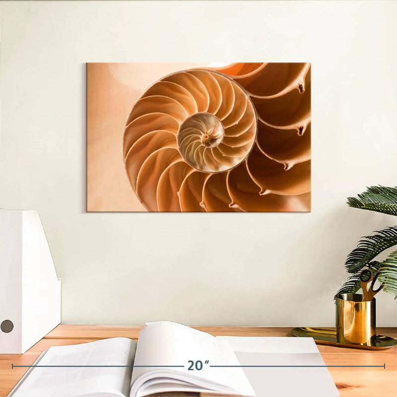 Coque Aletra Nautilus à l'intérieur, H 8 po x l 12 po