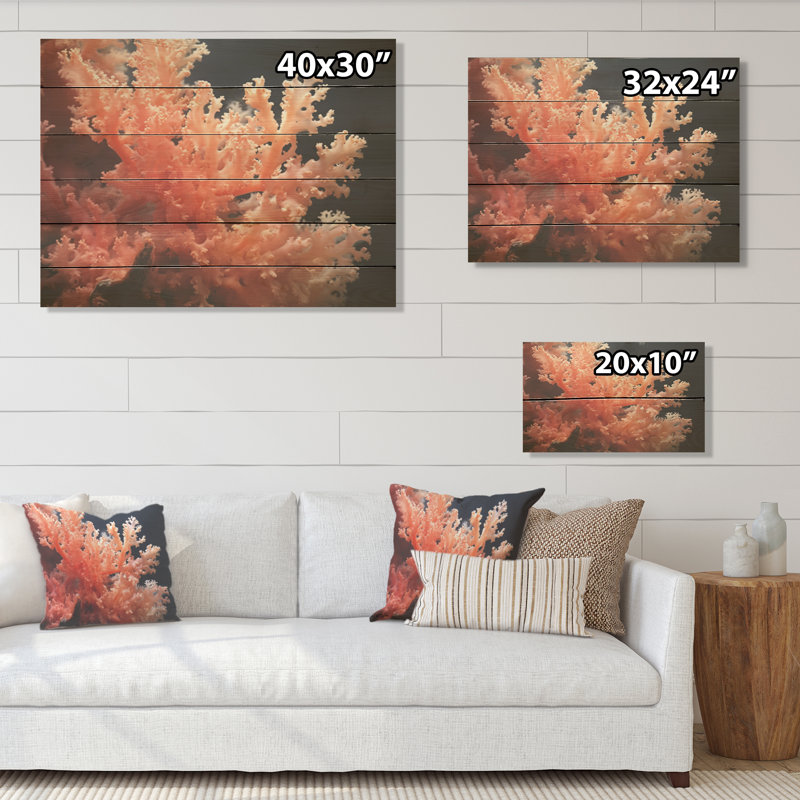 Under Water Colorful Coral Plant I - Coastal Coral Under Water Wood Wall Art On Natural Pine Wood, 30" H x 40" W