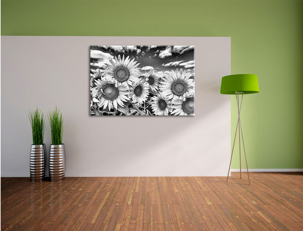 Leinwandbild Sonnenblumenwiese unter blauem Himmel in Monochrom