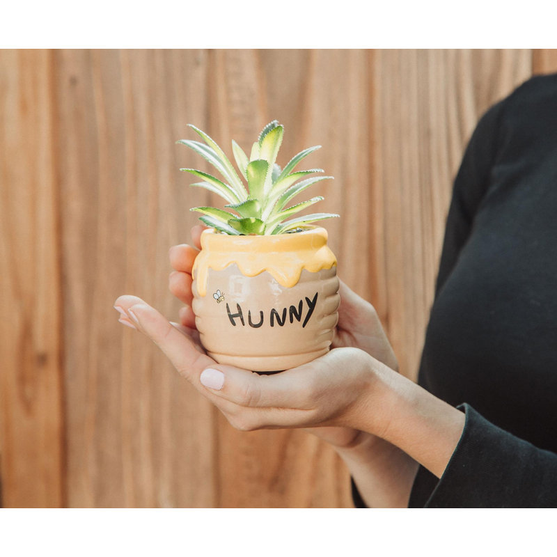 Plante grasse artificielle en pot Disney