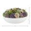 Assorted Sedum and Succulent Arrangement in Round Planter