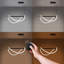 1 - Light Black Novelty Pendant