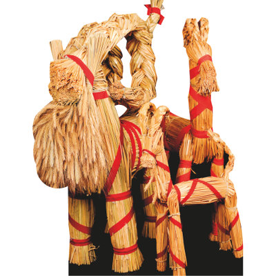 SP13179 Yule Pagan Family