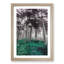 Forest in Russia - Framed Print-55577635-55577636