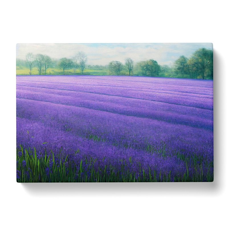Radiant Bluebell Field - Wrapped Canvas, 40cm H x 60cm W x 3cm D