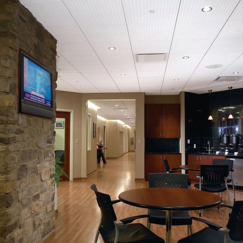 GRAPHIS Rustex Drop-in Ceiling Tile in White