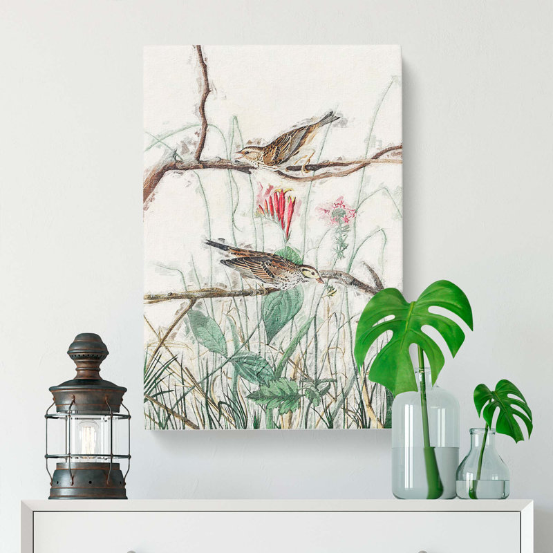 Savannah Finches by John Audubon - Wrapped Canvas Print, 50cm H x 35cm W x 3cm D