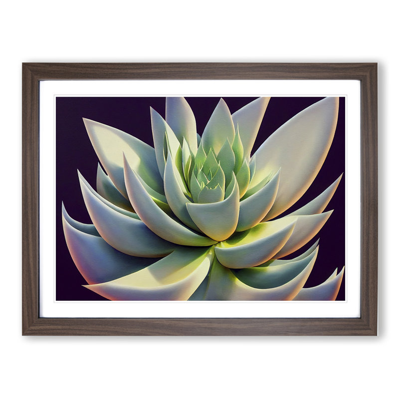 Ravishing Succulent Plant - Single Picture Frame Print, 25cm H x 34cm W x 2cm D, Walnut Framed
