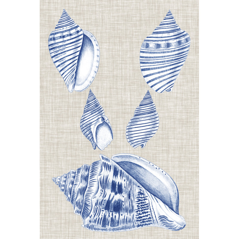 Navy & Linen Shells III by Vision Studio - Painting Print, 91cm H x 61cm W, Wrapped Canvas