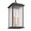 Estate - 3-Light Outdoor Pendant - Black with Brass Accent - Rain Glassware Shade