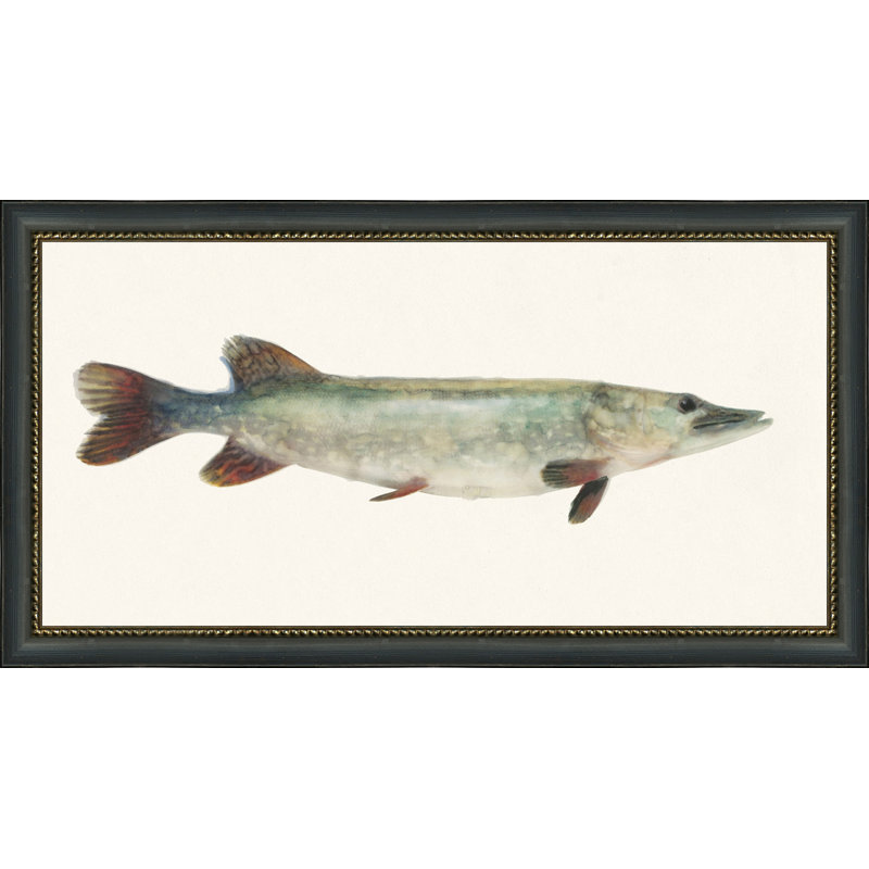 Fresh Catch 5 - Peinture