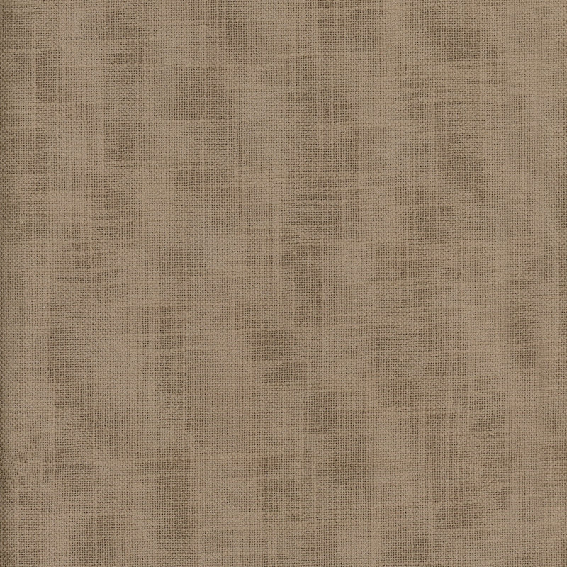 Tissu punjab, Champignon