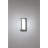 Serigne Steel Outdoor Wall Sconce