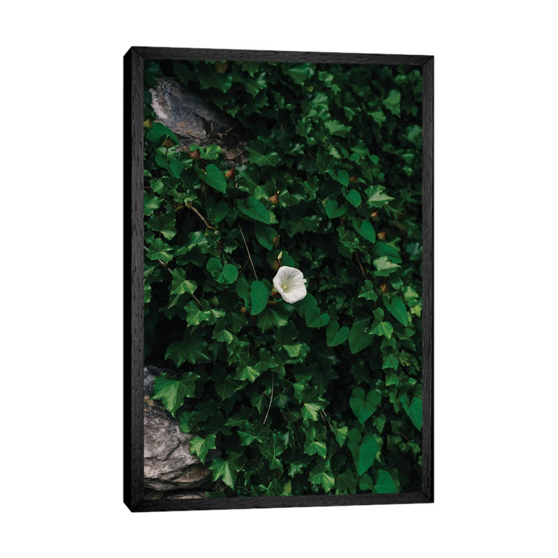 Amalfi Coast Blooms IV by Bethany Young - Print on Canvas, Black Framed, 101.6cm H x 66.04cm W x 3.81cm D