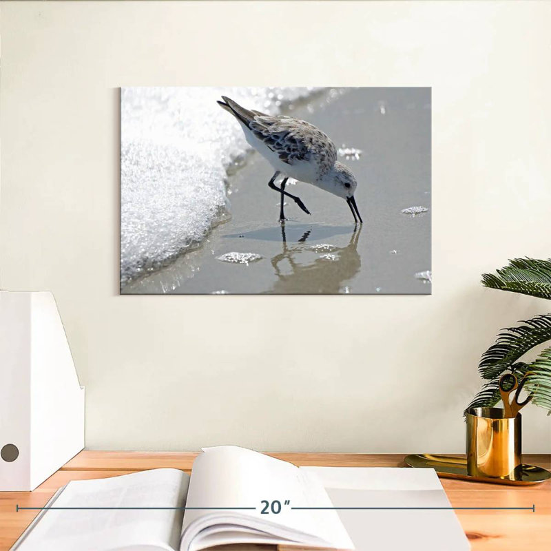 Brampt Sandpiper II, 8" H x 12" W