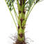 180cm Faux Plant in Nursery Pot
