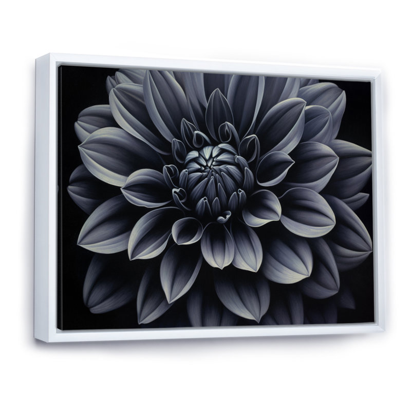 «Black Black Dahlia Garden Palette III», reproduction sur toile, Cadre flottant blanc, H 30 po x l 40 po x P 1,5 po