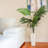 54'' Faux Palm Tree in Ceramic Planter-69568284