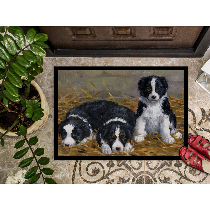 Paillasson d’extérieur antidérapant à bordure Collie Vallecito, Rectangle 2 pi x 3 pi