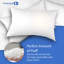 Ensemble de 2 oreillers en duvet ferme Continental Bedding, 550 pf, 75% duvet 25% plumes, housse en coton 400TC-94468249