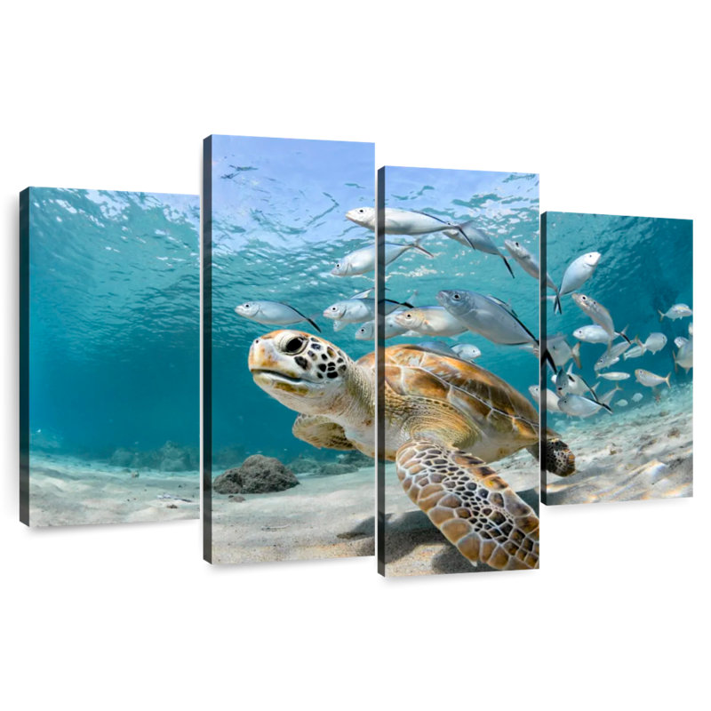 Brampt Fish School And Turtle, 22" H x 36" W
