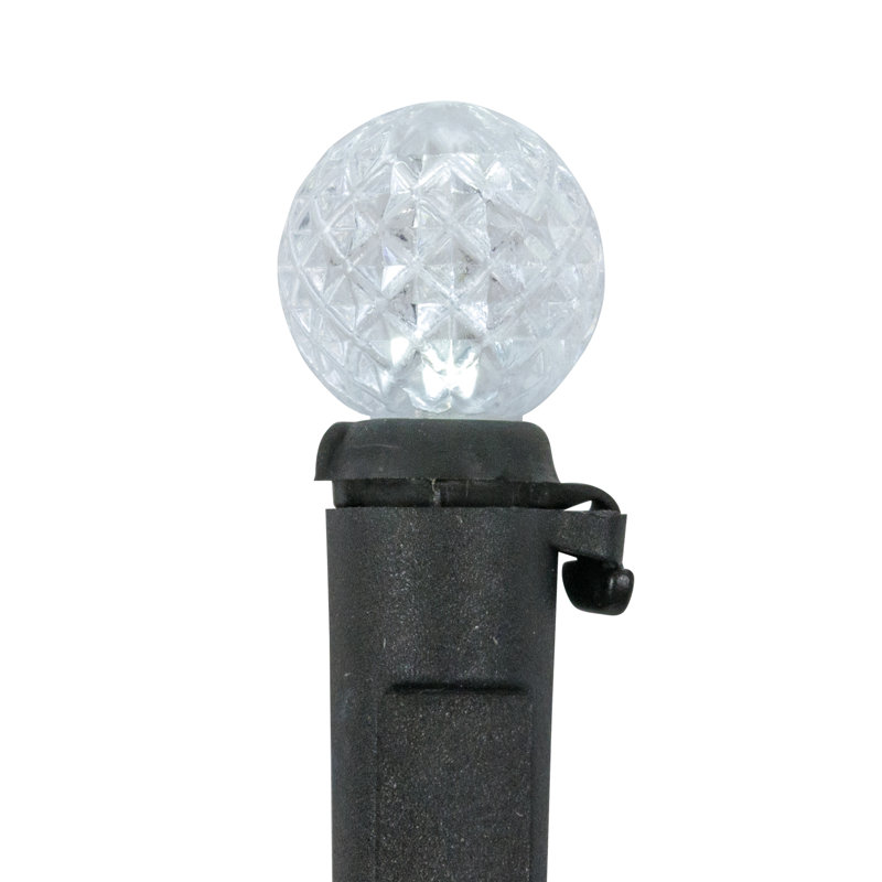 LED G12 Berry Christmas Lights - 16' Black Wire - 50 Ct, Pure White