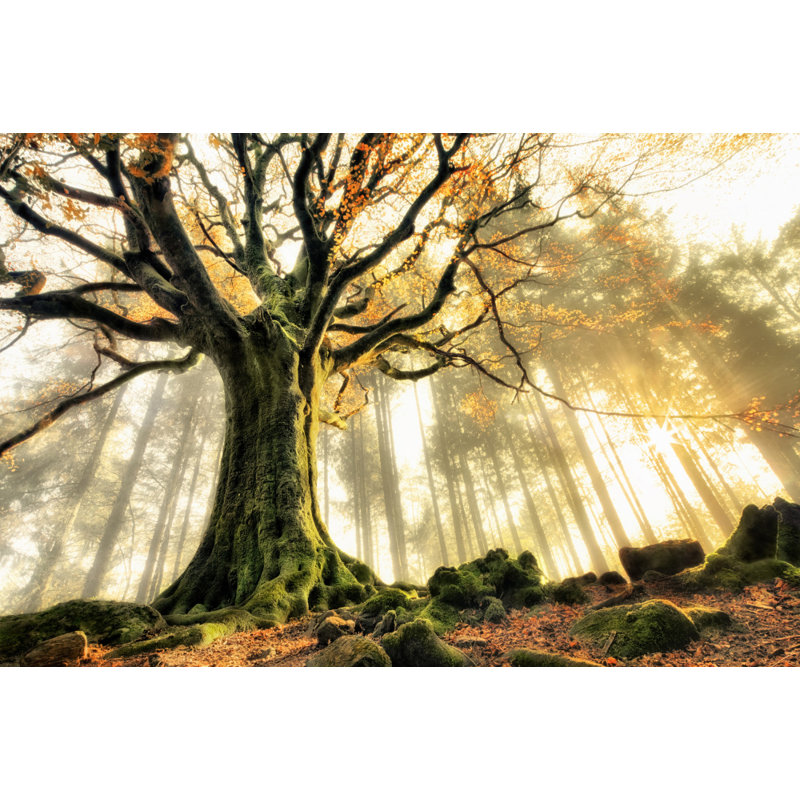 Wrapped Canvas Print, 91.44 cm H x 60.96 cm W