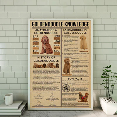 Toile tendue Goldendoodle