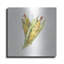 «Veggie Market III Corn» par Anne Tavoletti-1807457478