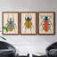 Beetle Bug I - ensemble de 3 peintures sur toile encadrées-1777886072-1777886077