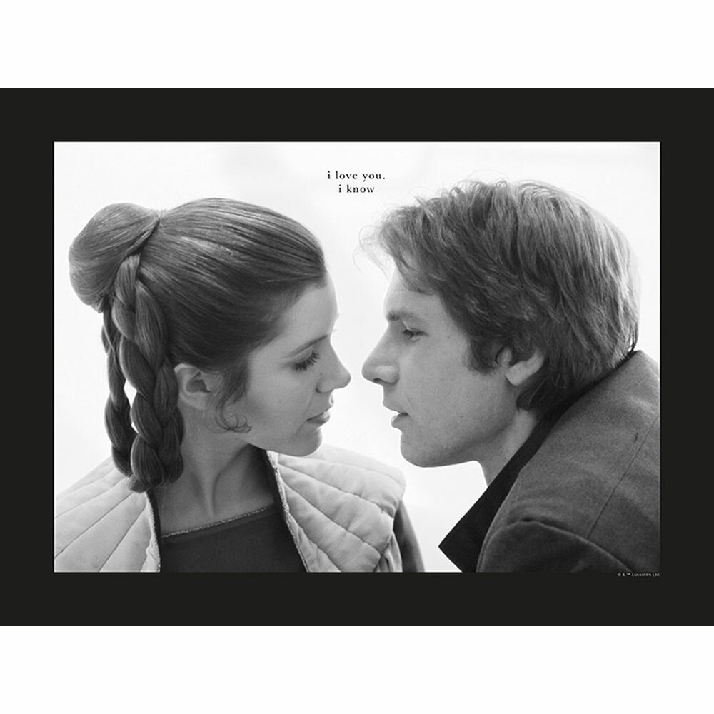 Poster Star Wars Leia Han Love