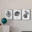 B&W d'intérieur plante I - ensemble de 3 reproductions d'art sur toile-1234909075-1234909072