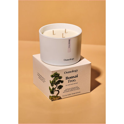 Bonsai Tree Scented Triple Wick Candle