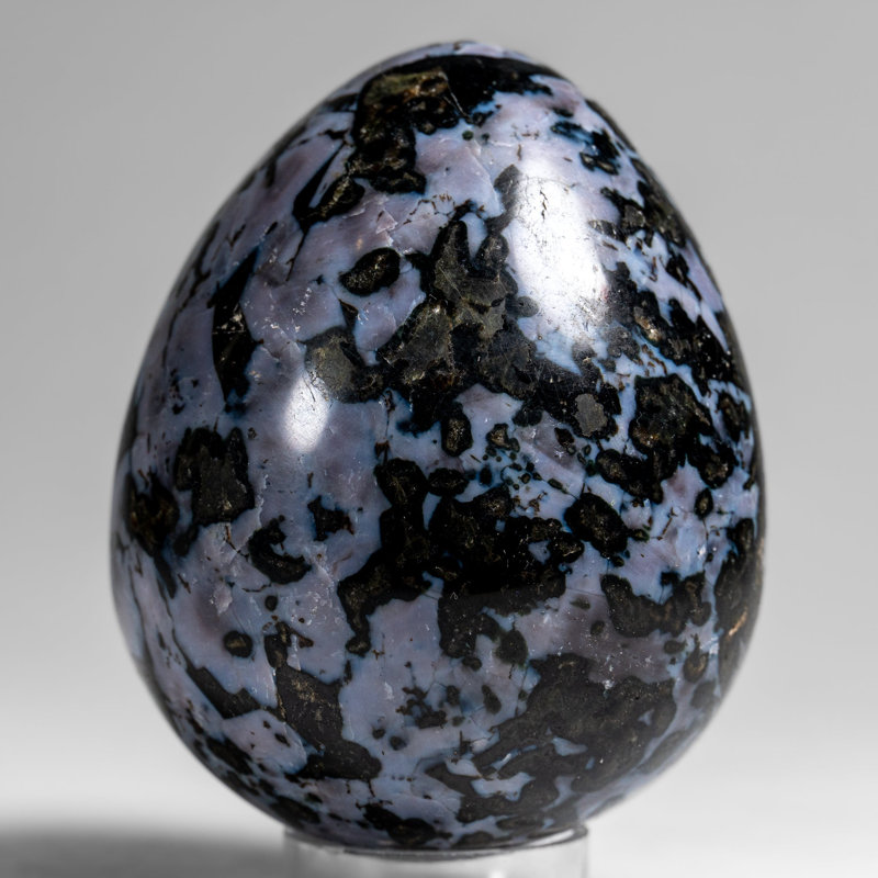 Véritable œuf indigo poli de Gabbro de Madagascar (1,3 lb), H 3,5 po x l 2,75 po x P 2,75 po