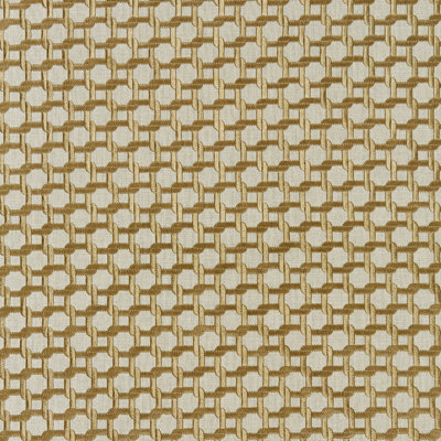Modern Luxury Link Embroidery Fabric