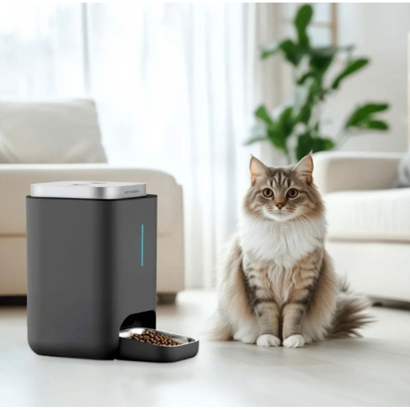 Automatic Feeder