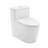 Arles One-Piece Elongated Toilet Vortex Dual-Flush 1.1/1.6 GPF