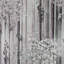 Papier peint fleurs de cerisier en fleurs