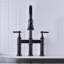 Robinet de cuisine Bridge avec douchette extractible