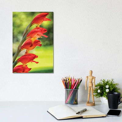 Red Tropical Flower 1 Piece Wrapped Canvas Wall Art