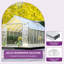 Serre en polycarbonate Balconera-110274605-111029465