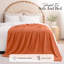 Couverture polaire en fausse fourrure de vison de luxe - peluche douce et réversible pour lit et canapé-125539717-125539730
