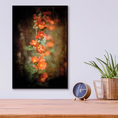 «Desert Flower 5» par Lightbox Journal