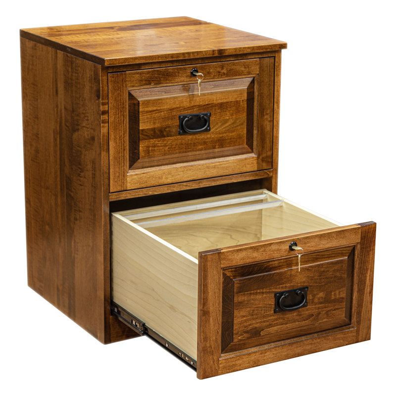 Doonans 21'' Wide 2 -Drawer Solid Wood File Cabinet, Cherry