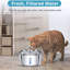 Filtres de fontaine d'eau