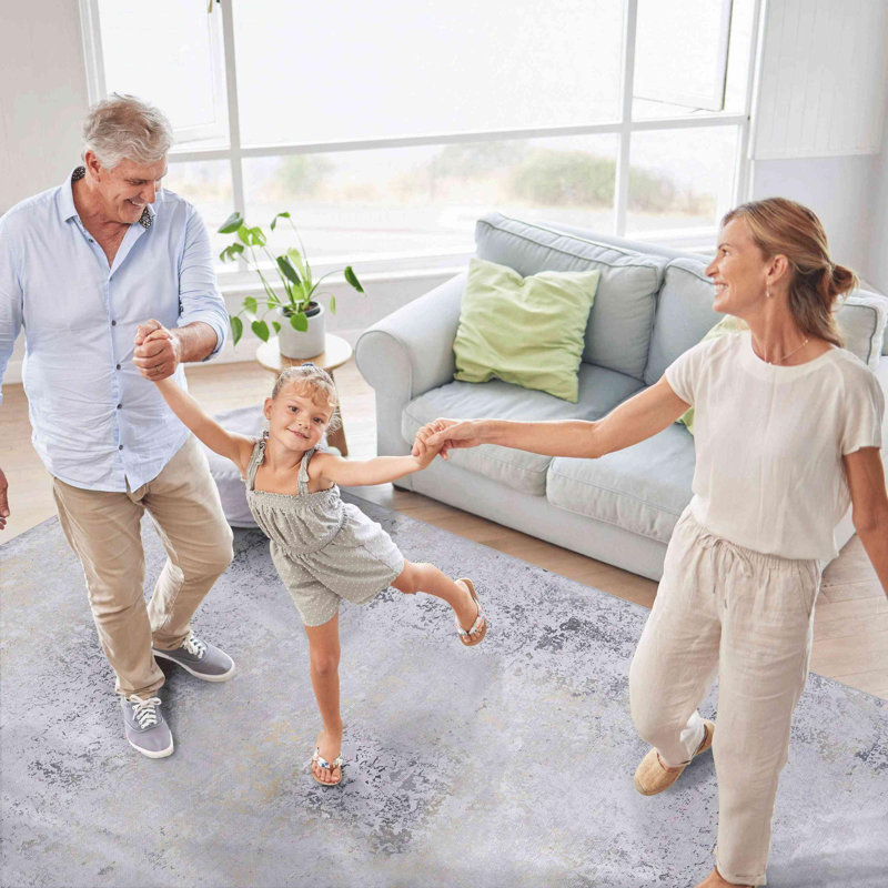 Gray Washable Area Rug, Runner 4' x 9'